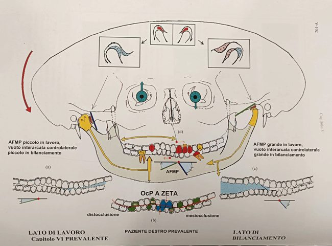 RNO-Confaloni-diagrama-1
